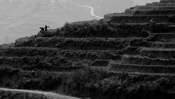 _mg_0225 Silhouetted rice paddies with farmers preparing to plant