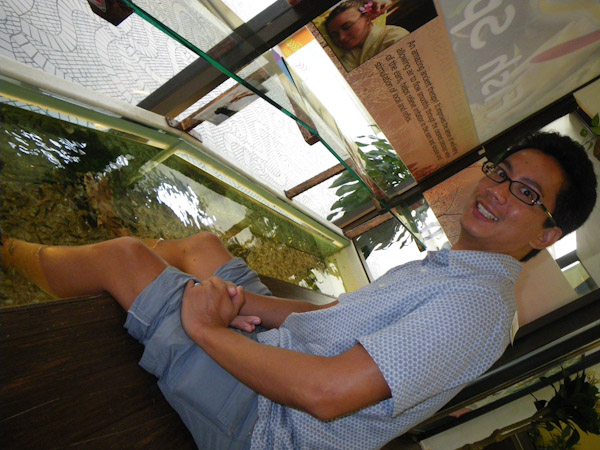 imgp0082 George at the foot fish spa, Singapore